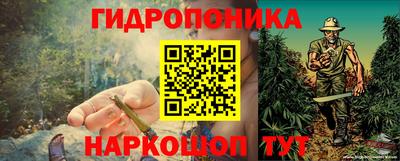 молекула духа Краснодар