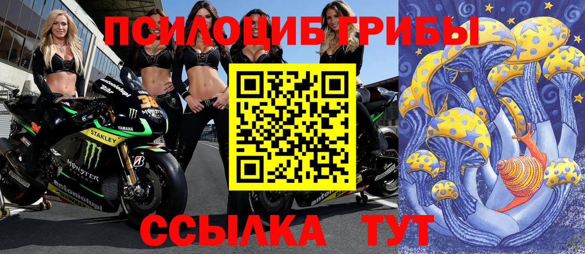 Псилоцибиновые грибы прущие грибы Гулькевичи